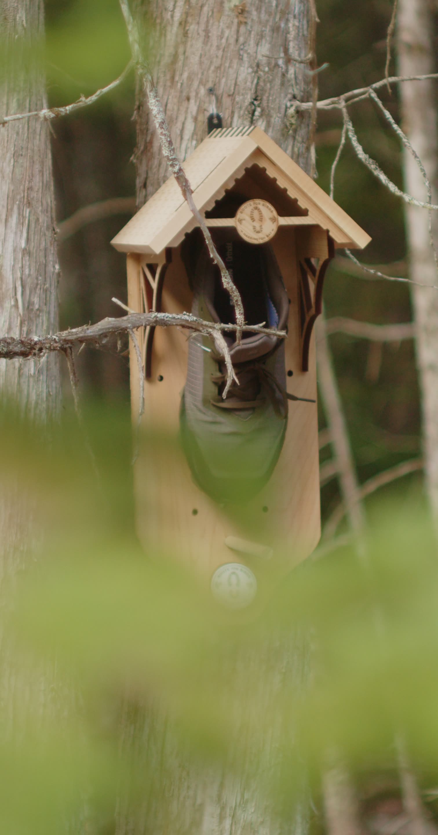 Boots for Birds Photo Album - 009